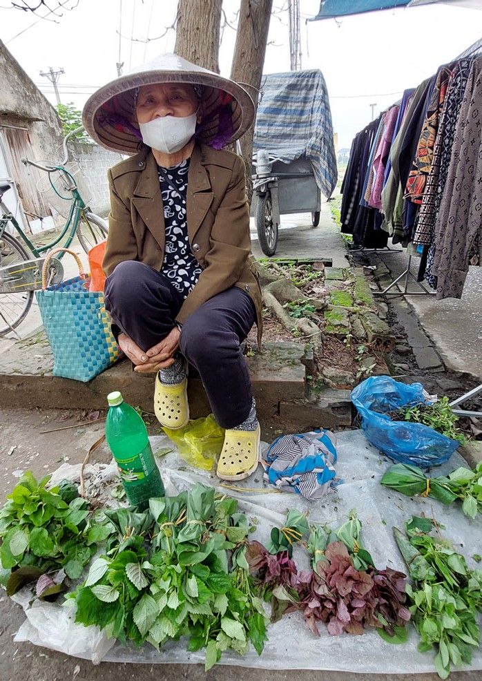Người dân ở xã Việt Thuận bó cây rau giống ra bán ở chợ phiên Người dân ở xã Việt Thuận bó cây rau giống ra bán ở chợ phiên