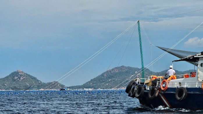 Các lồng bè, phao nổi thả tại vịnh Cam Ranh lấn chiếm hành lang an toàn hàng hải Các lồng bè, phao nổi thả tại vịnh Cam Ranh lấn chiếm hành lang an toàn hàng hải