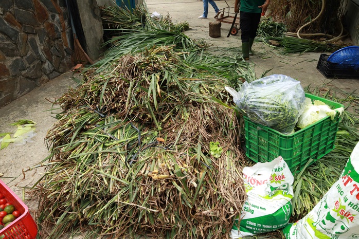 Bữa ăn của đàn thú ra sao trong lúc Thảo Cầm Viên Sài Gòn nợ 800 tỉ đồng?- Ảnh 1. Bữa ăn của đàn thú ra sao trong lúc Thảo Cầm Viên Sài Gòn nợ 800 tỉ đồng?- Ảnh 1.