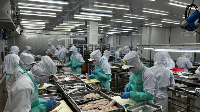 An tâm đón Tết- Ảnh 1. An tâm đón Tết- Ảnh 1.