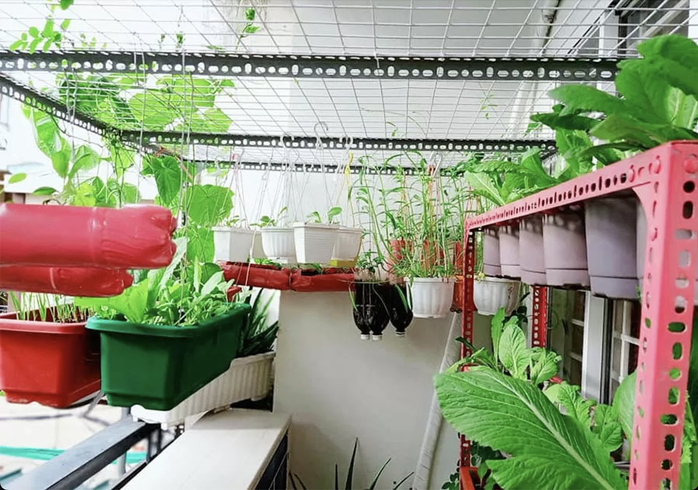 Bảo vệ Trái đất từ những hành động nhỏ- Ảnh 5. Bảo vệ Trái đất từ những hành động nhỏ- Ảnh 5.