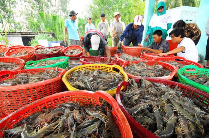 Ngành hải quan thu ngân sách hoàn thành dự toán cả năm- Ảnh 1. Ngành hải quan thu ngân sách hoàn thành dự toán cả năm- Ảnh 1.