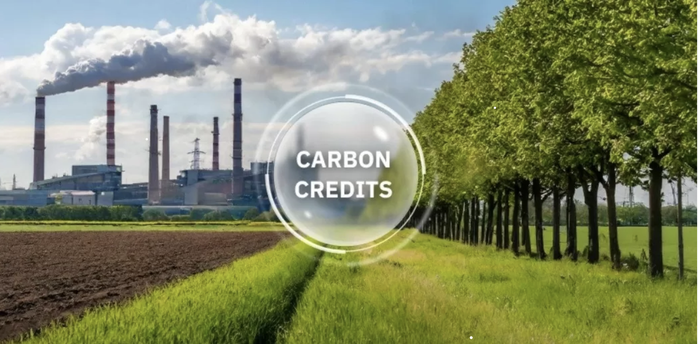 Phát triển thị trường carbon tại Việt Nam: Phải làm nếu không muốn tụt hậu- Ảnh 2. Phát triển thị trường carbon tại Việt Nam: Phải làm nếu không muốn tụt hậu- Ảnh 2.