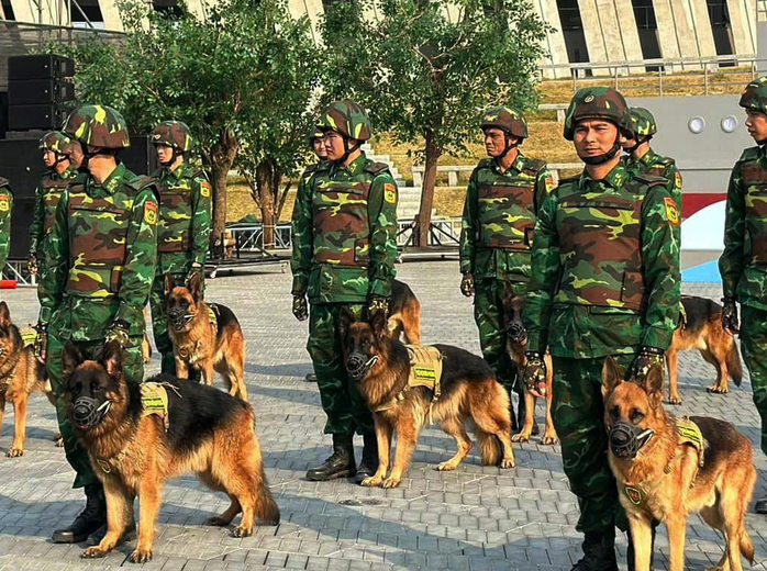 40 quân khuyển xuất sắc lên sóng truyền hình trực tiếp- Ảnh 2. 40 quân khuyển xuất sắc lên sóng truyền hình trực tiếp- Ảnh 2.