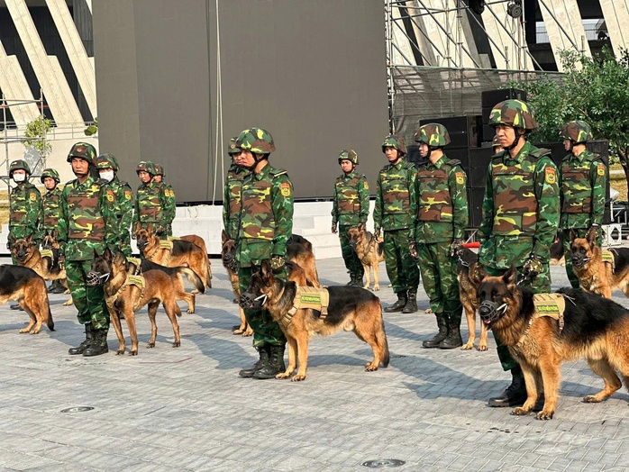 40 quân khuyển xuất sắc lên sóng truyền hình trực tiếp- Ảnh 10. 40 quân khuyển xuất sắc lên sóng truyền hình trực tiếp- Ảnh 10.