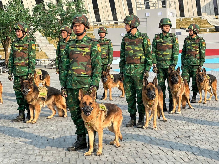 40 quân khuyển xuất sắc lên sóng truyền hình trực tiếp- Ảnh 5. 40 quân khuyển xuất sắc lên sóng truyền hình trực tiếp- Ảnh 5.