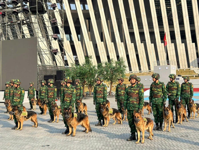 40 quân khuyển xuất sắc lên sóng truyền hình trực tiếp- Ảnh 6. 40 quân khuyển xuất sắc lên sóng truyền hình trực tiếp- Ảnh 6.