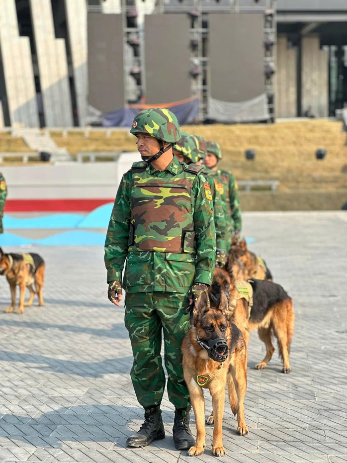 40 quân khuyển xuất sắc lên sóng truyền hình trực tiếp- Ảnh 8. 40 quân khuyển xuất sắc lên sóng truyền hình trực tiếp- Ảnh 8.
