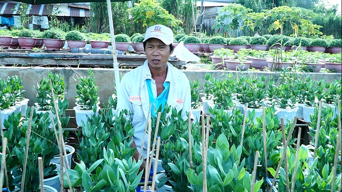 VIDEO: Nỗi lòng ở làng hoa Tết trăm tuổi- Ảnh 11. VIDEO: Nỗi lòng ở làng hoa Tết trăm tuổi- Ảnh 11.