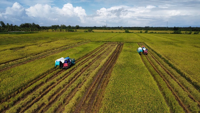 Hướng đến nông nghiệp sạch, ít phát thải- Ảnh 1. Hướng đến nông nghiệp sạch, ít phát thải- Ảnh 1.