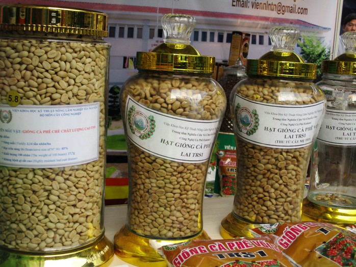 Giá cà phê hôm nay 26-12: Bên mua chờ giảm, bên bán chờ tăng- Ảnh 1.