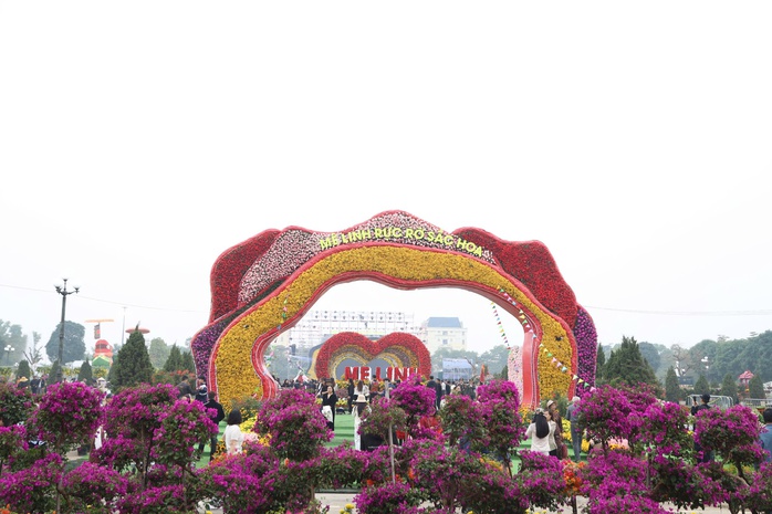 Rực rỡ Festival hoa Mê Linh - lễ hội hoa lớn nhất miền Bắc- Ảnh 4. Rực rỡ Festival hoa Mê Linh - lễ hội hoa lớn nhất miền Bắc- Ảnh 4.