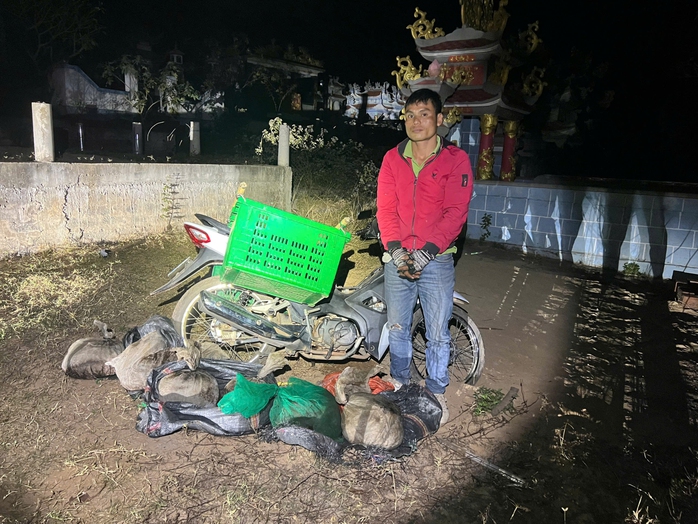 Tạm giữ thanh niên vận chuyển trái phép động vật rừng quý hiếm- Ảnh 1. Tạm giữ thanh niên vận chuyển trái phép động vật rừng quý hiếm- Ảnh 1.