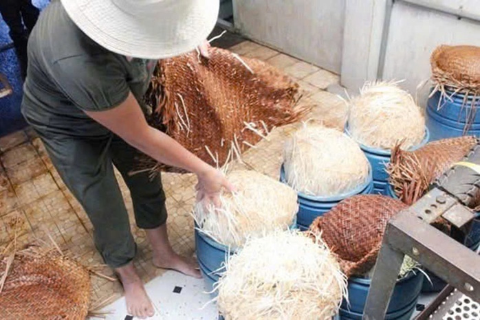 Mua giá đỗ ngâm hóa chất ở Bách Hoá Xanh, người dân có đòi được quyền lợi?- Ảnh 1. Mua giá đỗ ngâm hóa chất ở Bách Hoá Xanh, người dân có đòi được quyền lợi?- Ảnh 1.