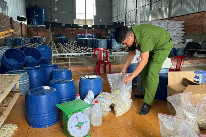 Lời khai quan trọng của nhóm đối tượng bán gần 3.000 tấn giá đỗ ủ chất cấm- Ảnh 1. Lời khai quan trọng của nhóm đối tượng bán gần 3.000 tấn giá đỗ ủ chất cấm- Ảnh 1.