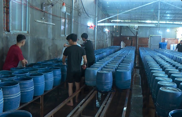 6 cơ sở sản xuất giá đỗ ủ chất cấm chưa 1 lần bị kiểm tra hành chính!- Ảnh 1. 6 cơ sở sản xuất giá đỗ ủ chất cấm chưa 1 lần bị kiểm tra hành chính!- Ảnh 1.