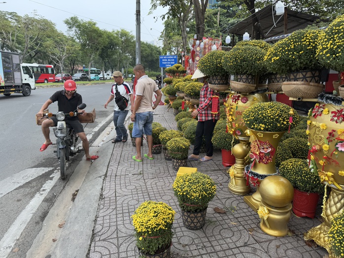 Hoa kiểng Tết bắt đầu đổ về TP HCM, giá bán giảm mạnh- Ảnh 8. Hoa kiểng Tết bắt đầu đổ về TP HCM, giá bán giảm mạnh- Ảnh 8.