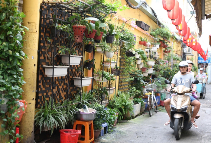 Hẻm xanh: Dấu ấn tinh thần cộng đồng- Ảnh 1. Hẻm xanh: Dấu ấn tinh thần cộng đồng- Ảnh 1.