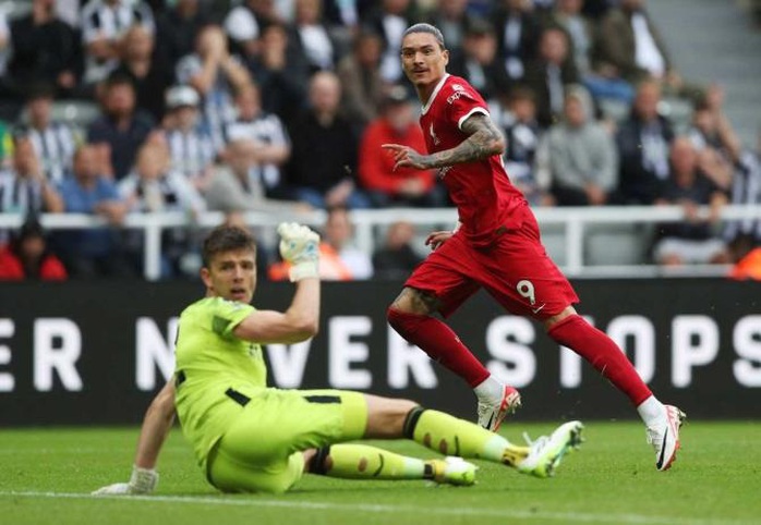 Soi tỉ số trận Newcastle - Liverpool: Chích chòe cản lối The Reds- Ảnh 1. Soi tỉ số trận Newcastle - Liverpool: Chích chòe cản lối The Reds- Ảnh 1.