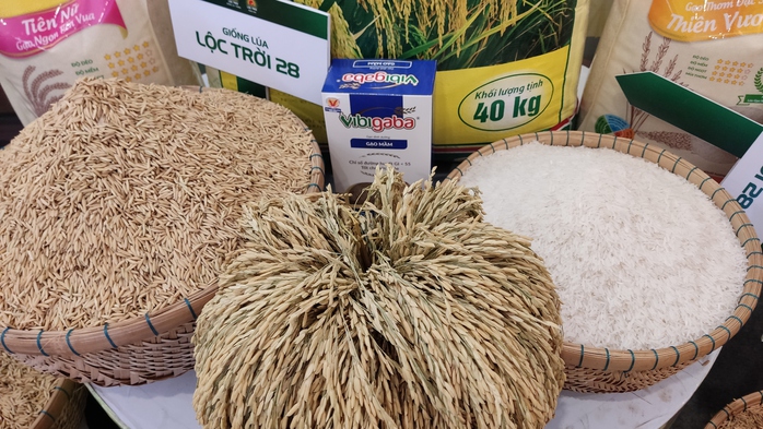 Việt Nam có 5 doanh nghiệp trúng thầu cung cấp gạo cho Indonesia- Ảnh 1. Việt Nam có 5 doanh nghiệp trúng thầu cung cấp gạo cho Indonesia- Ảnh 1.