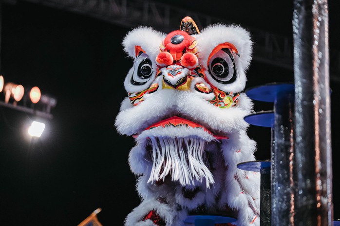 Lân Sư Rồng: Từ truyền thuyết đến hành trình di sản văn hóa- Ảnh 14. Lân Sư Rồng: Từ truyền thuyết đến hành trình di sản văn hóa- Ảnh 14.