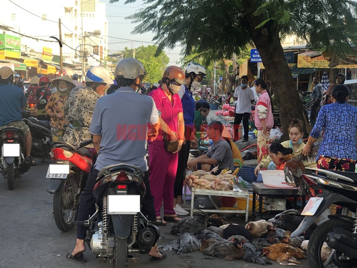 CLIP: Mùng 3 Tết, người miền Tây chen chân mua gà trống- Ảnh 4. CLIP: Mùng 3 Tết, người miền Tây chen chân mua gà trống- Ảnh 4.