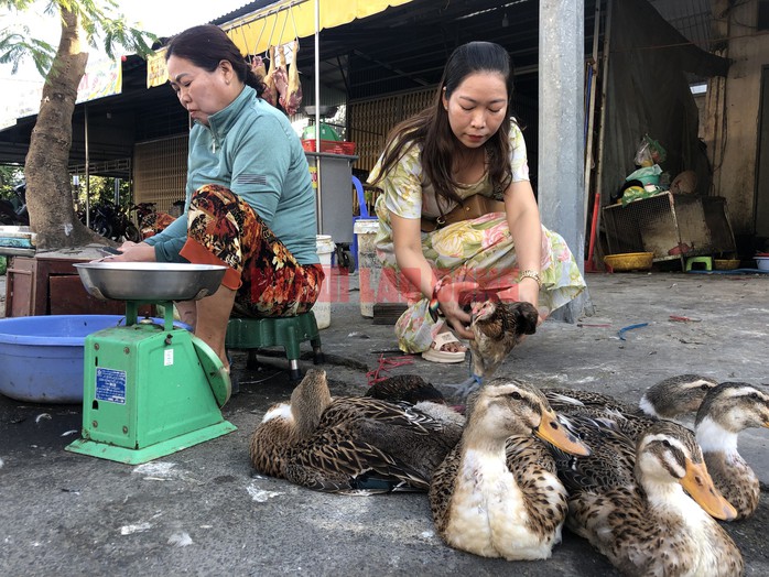 CLIP: Mùng 3 Tết, người miền Tây chen chân mua gà trống- Ảnh 9. CLIP: Mùng 3 Tết, người miền Tây chen chân mua gà trống- Ảnh 9.