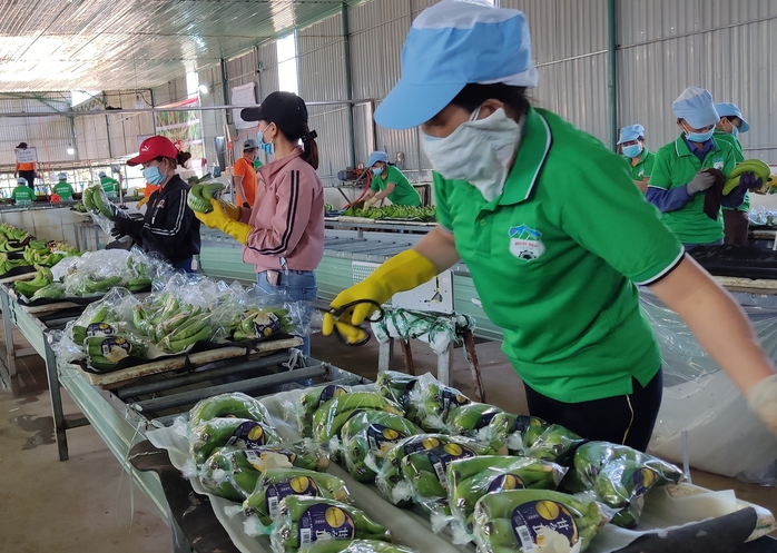 Bầu Đức trở lại- Ảnh 3. Bầu Đức trở lại- Ảnh 3.