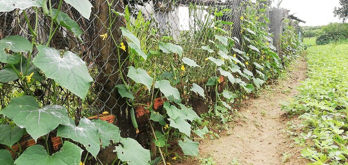 “Xuân sum vầy - Tết sẻ chia”: Đôi bàn chân cát bụi- Ảnh 1. “Xuân sum vầy - Tết sẻ chia”: Đôi bàn chân cát bụi- Ảnh 1.