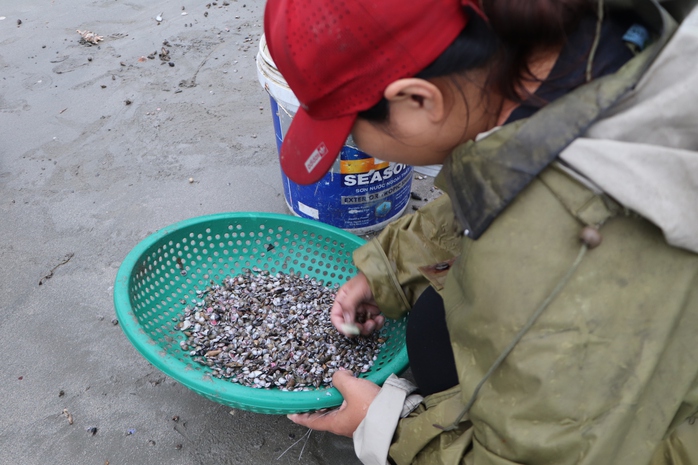 Ốc gạo Ốc gạo