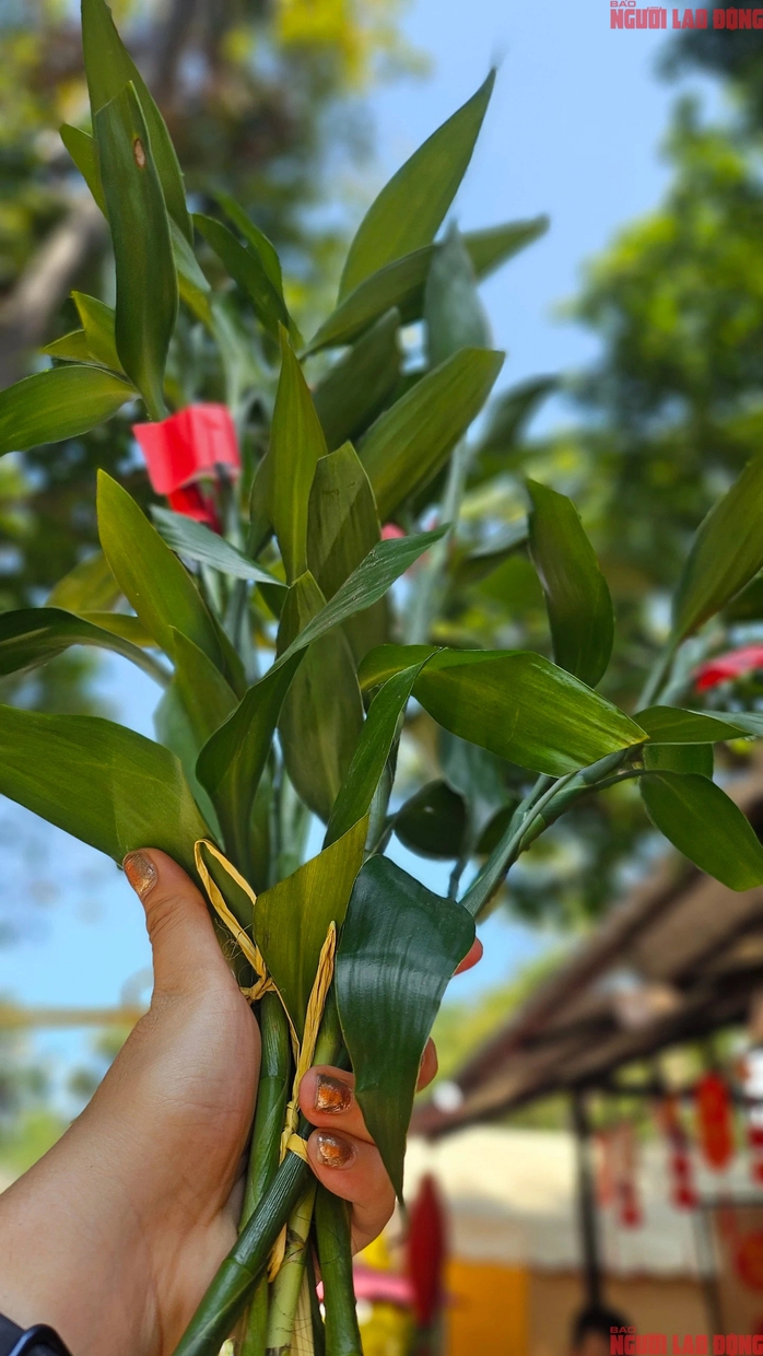 Hương sắc mùa Xuân ở cõi thiêng giữa lòng TP HCM- Ảnh 26. Hương sắc mùa Xuân ở cõi thiêng giữa lòng TP HCM- Ảnh 26.