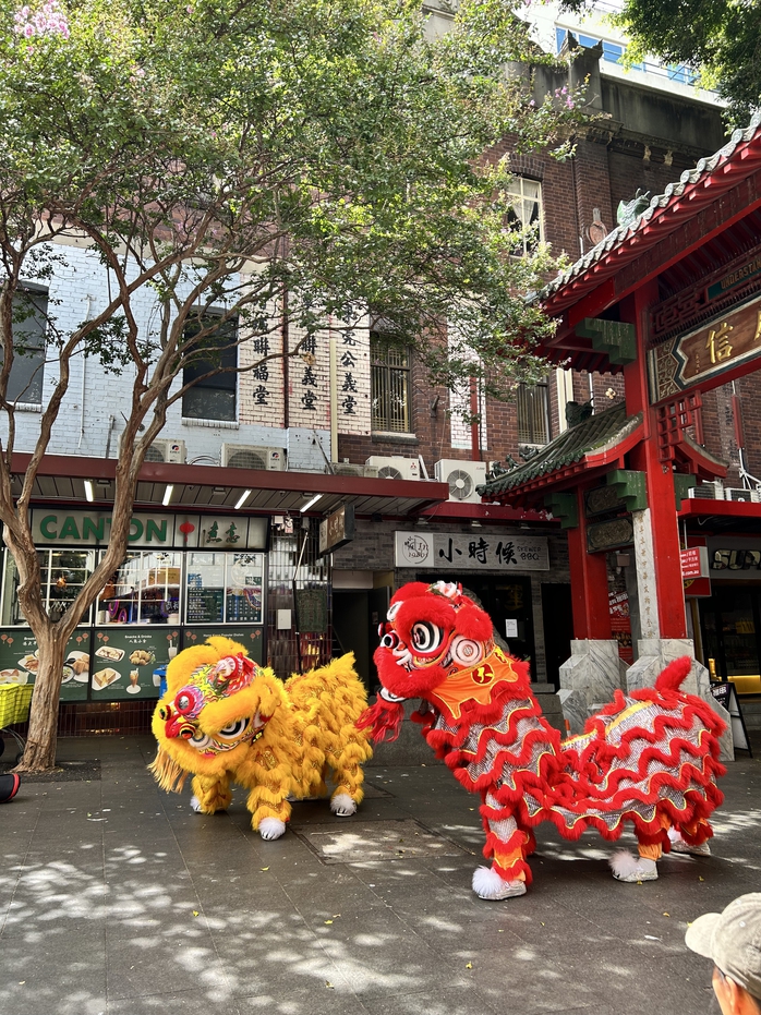 Đến China Town (Sydney) đón năm Rồng- Ảnh 2. Đến China Town (Sydney) đón năm Rồng- Ảnh 2.