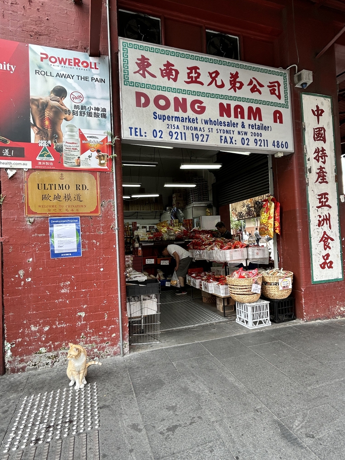 Đến China Town (Sydney) đón năm Rồng- Ảnh 4. Đến China Town (Sydney) đón năm Rồng- Ảnh 4.