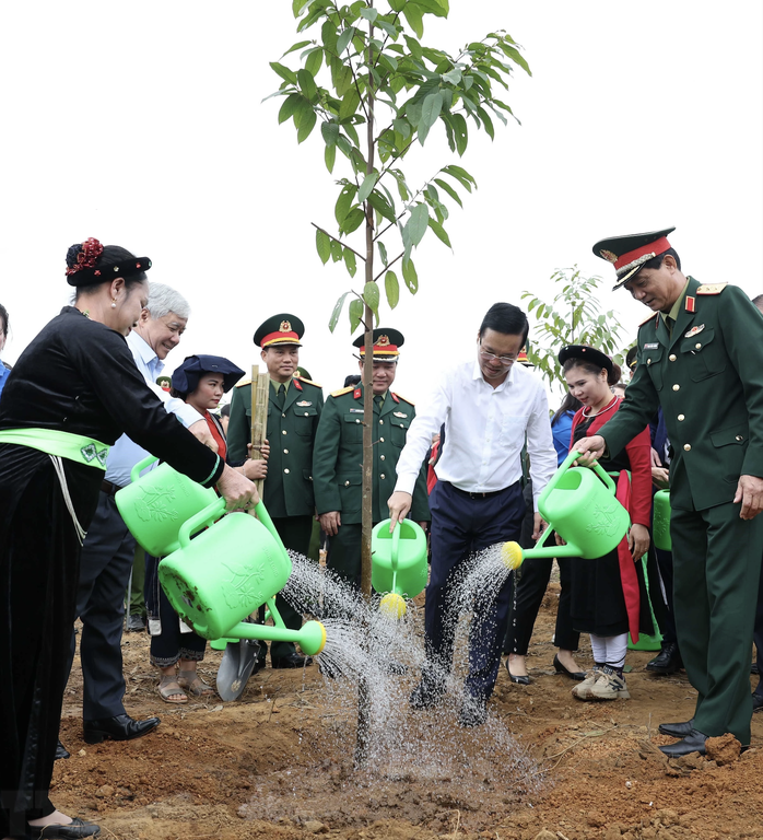Chủ tịch nước Võ Văn Thưởng phát động Tết trồng cây "Đời đời nhớ ơn Bác Hồ"- Ảnh 3. Chủ tịch nước Võ Văn Thưởng phát động Tết trồng cây "Đời đời nhớ ơn Bác Hồ"- Ảnh 3.