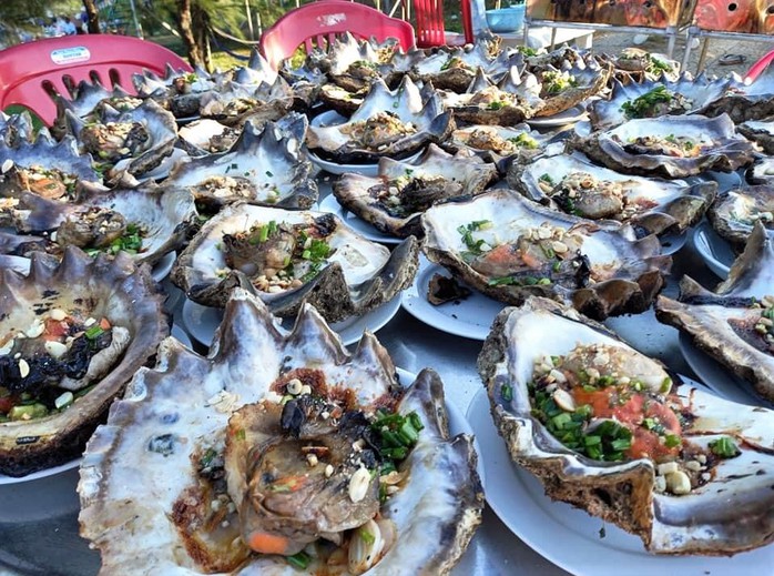 Cận cảnh loài hàu răng cưa khổng lồ hút khách ở Cồn Cỏ- Ảnh 5. Cận cảnh loài hàu răng cưa khổng lồ hút khách ở Cồn Cỏ- Ảnh 5.