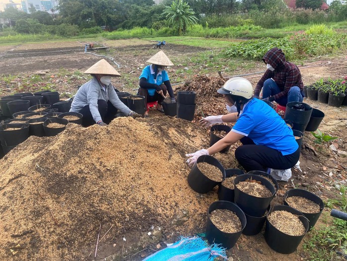 Những khu phố xanh màu lá- Ảnh 3. Những khu phố xanh màu lá- Ảnh 3.