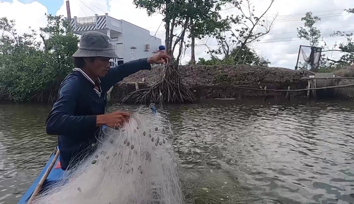 CLIP: Trải nghiệm bắt cá vồ chó trên sông ở Cà Mau- Ảnh 1. CLIP: Trải nghiệm bắt cá vồ chó trên sông ở Cà Mau- Ảnh 1.