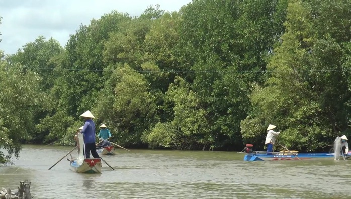 CLIP: Trải nghiệm bắt cá vồ chó trên sông ở Cà Mau- Ảnh 2. CLIP: Trải nghiệm bắt cá vồ chó trên sông ở Cà Mau- Ảnh 2.