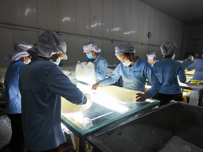 Nhiều doanh nghiệp đón đơn hàng lớn- Ảnh 3.