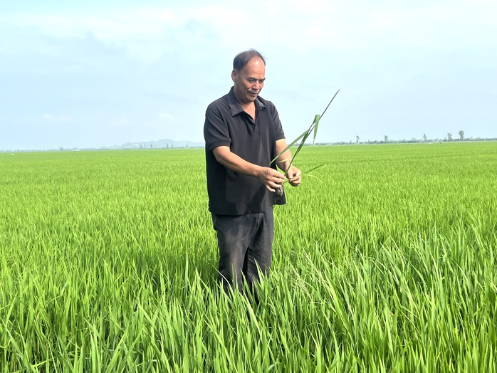 Kỷ lục của một nông dân xuất sắc ở Cần Thơ- Ảnh 1. Kỷ lục của một nông dân xuất sắc ở Cần Thơ- Ảnh 1.