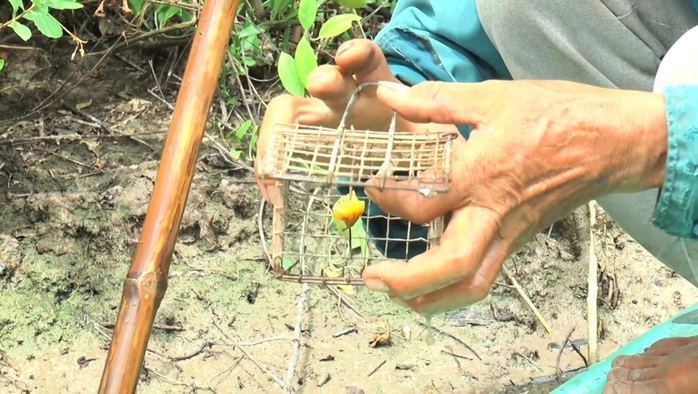 CLIP: Lội sông, băng rừng tìm bắt đặc sản sau Tết- Ảnh 13. CLIP: Lội sông, băng rừng tìm bắt đặc sản sau Tết- Ảnh 13.
