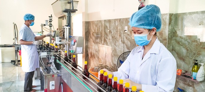 Chuyện ít biết về nước mắm Phú Quốc- Ảnh 4. Chuyện ít biết về nước mắm Phú Quốc- Ảnh 4.