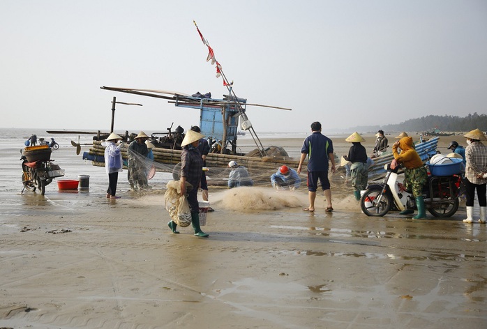 Ngư dân đánh bắt hàng tấn cá trích, kiếm hàng chục triệu mỗi ngày- Ảnh 13. Ngư dân đánh bắt hàng tấn cá trích, kiếm hàng chục triệu mỗi ngày- Ảnh 13.