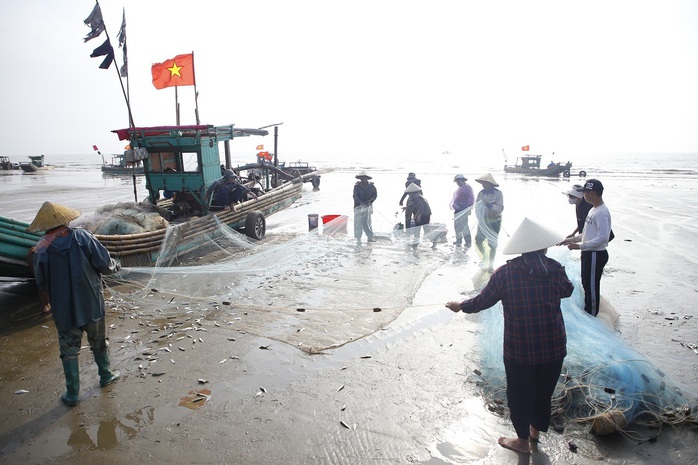 Ngư dân đánh bắt hàng tấn cá trích, kiếm hàng chục triệu mỗi ngày- Ảnh 4. Ngư dân đánh bắt hàng tấn cá trích, kiếm hàng chục triệu mỗi ngày- Ảnh 4.