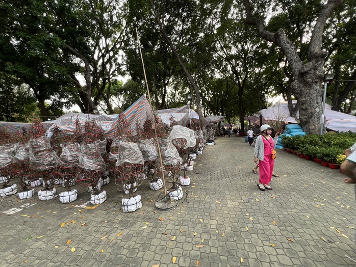TP HCM: Tràn ngập hoa Tết, giá rẻ hơn mọi năm- Ảnh 7.
