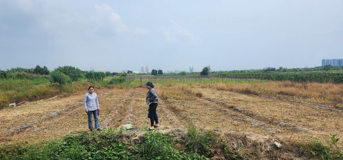 Người dân xã Phong Phú mỏi mòn chờ nhận đất hoán đổi Người dân xã Phong Phú mỏi mòn chờ nhận đất hoán đổi