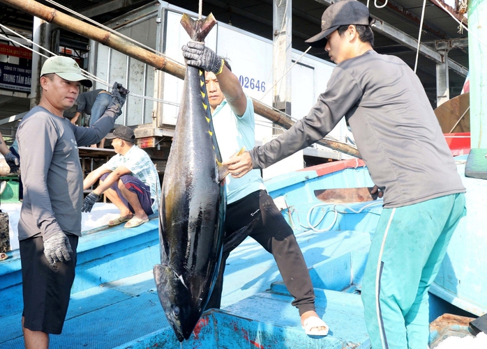 Rộn ràng Rộn ràng