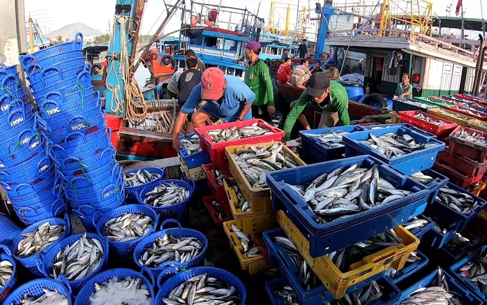 Rộn ràng Rộn ràng