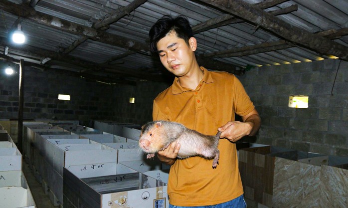 Mô hình nuôi dúi thương phẩm đã mang lại kinh tế, thu nhập khấm khá cho gia đình anh Lê Hữu Như Ý Mô hình nuôi dúi thương phẩm đã mang lại kinh tế, thu nhập khấm khá cho gia đình anh Lê Hữu Như Ý