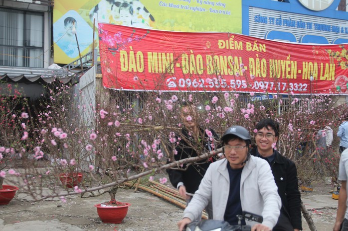 VIDEO: Đào huyền “dáng rồng” hút khách trong dịp Tết - Ảnh 5.